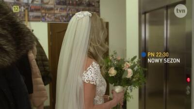 Ślub od pierwszego wejrzenia: Odcinki - oficjalna strona stacji TVN